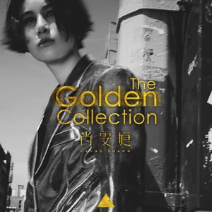 The Golden Collection 金选