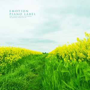 지친 마음을 어루만지는 뉴에이지 피아노 선율 (New Age Piano Melody Touching Tired Heart)
