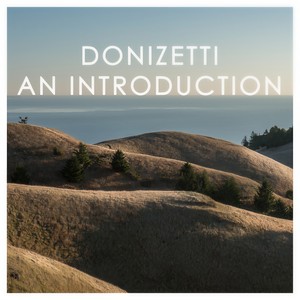Donizetti: An Introduction