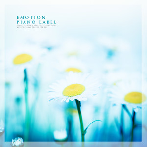 명상의 시간을 위한 섬세한 피아노 연주곡 (A Delicate Piano Song For Meditation Time)