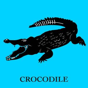 crocodile