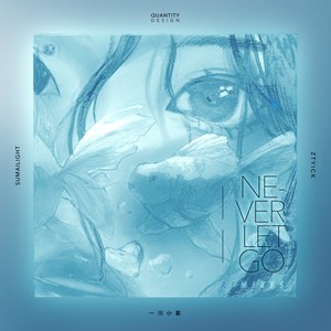 Never let go(Remixes)