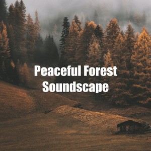 peaceful forest soundscape