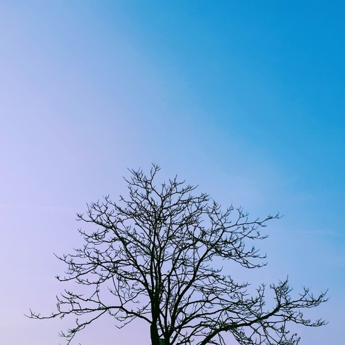 如果有来生（新版）