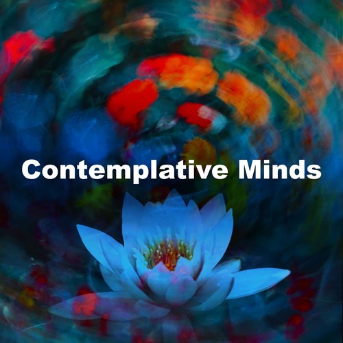 Contemplative Minds