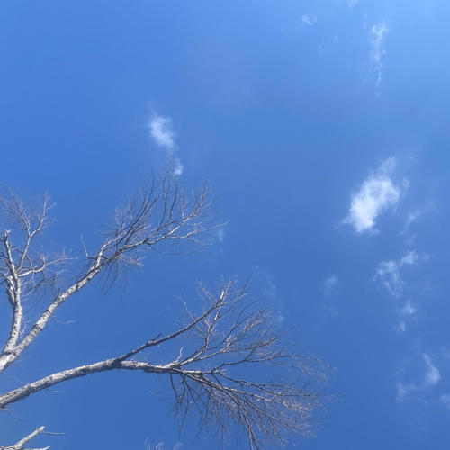 I SWEAR THIS MEANT SOMETHING (PRE-PACK) [Explicit]