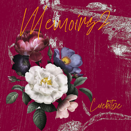 Memoirs 2