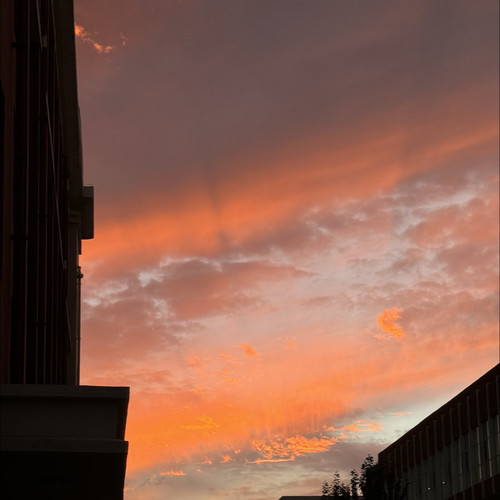 请你一起看日落