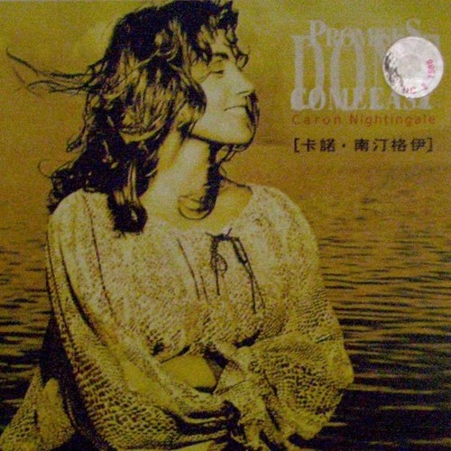 卡诺.南汀格伊2001精选辑