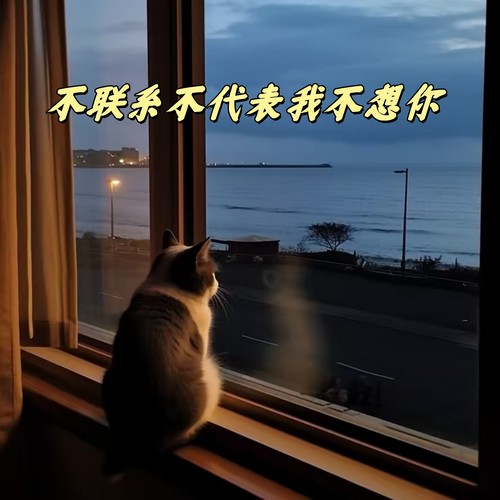 不联系不代表我不想你