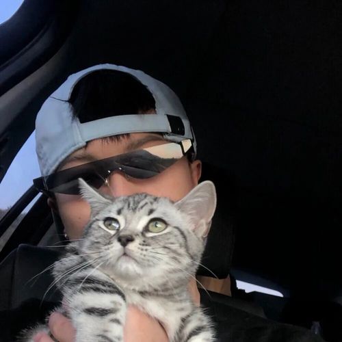 我的草原我的马