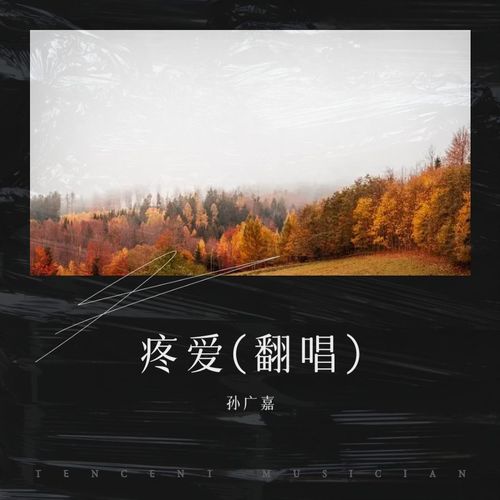 疼爱(翻唱)