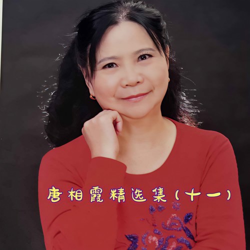 唐相霞精选集(十一)