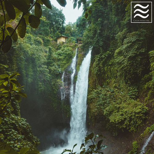 Reiki Xizang Sounds for Relax and Rest