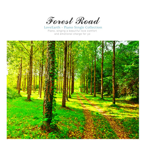 숲 속 길 (Forest road)