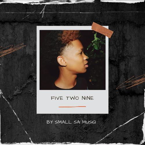 Five Two Nine