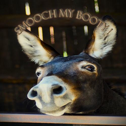 Smooch My Booty (feat. Alabama Harper Jonez) [Explicit]