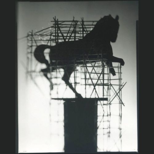 Half True & the Other Half