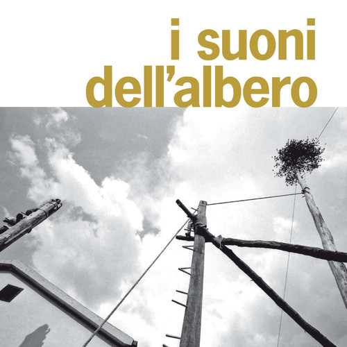 Basilicata: I suoni dell'albero. Il maggio di S. Giuliano ad Accettura Musica e cultura tradizionale della Basilicata 6. (A cura di Nicola Scaldaferri e Steven Feld)