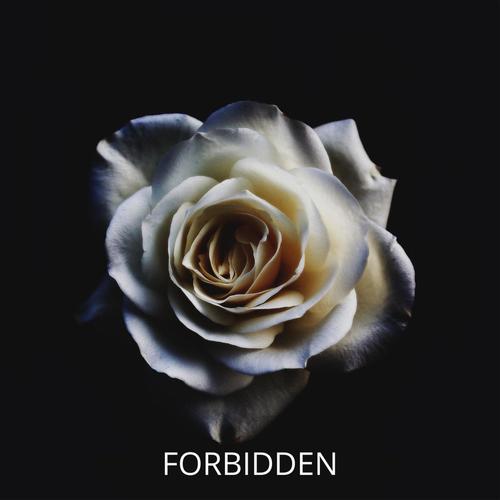 Forbidden (Explicit)