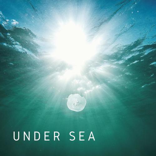 UNDER SEA