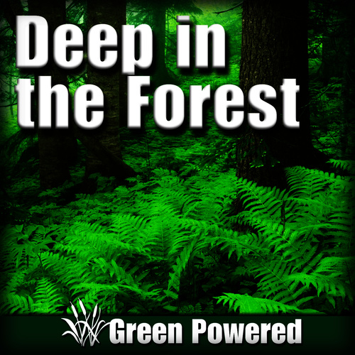 Deep in the Forest (Nature Sound)