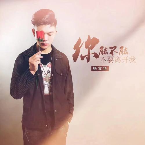 你能不能不要离开我（重制版）