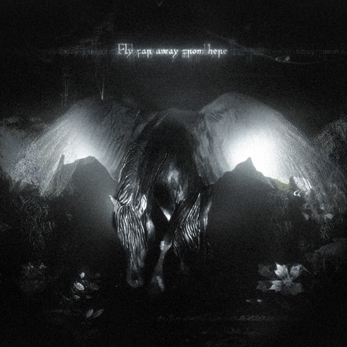 Fly far away from here