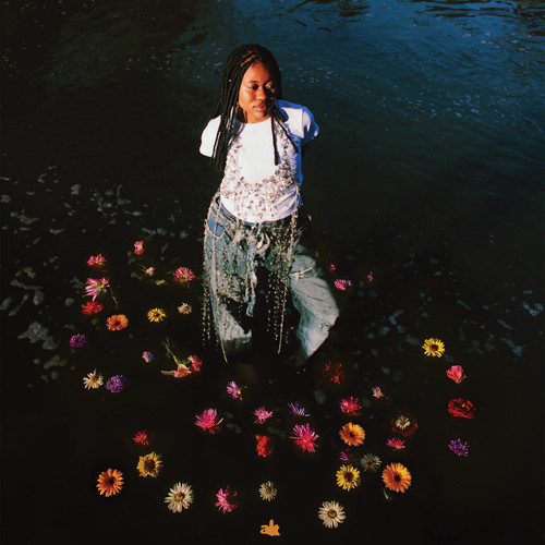 flowers bloom in spring