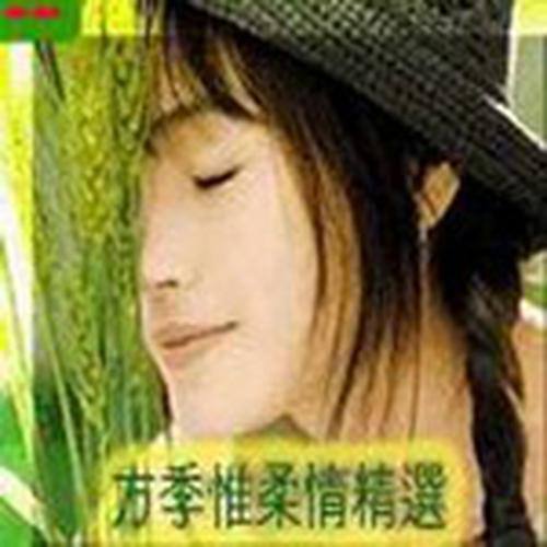 柔情精选集