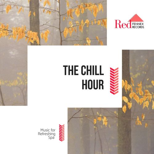 The Chill Hour - Music For Refreshing Spa