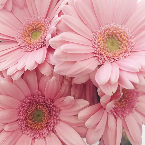 Spring (Explicit)