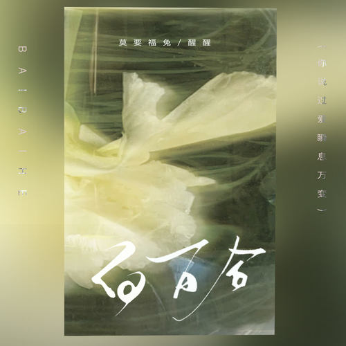 白百合 (释怀版)