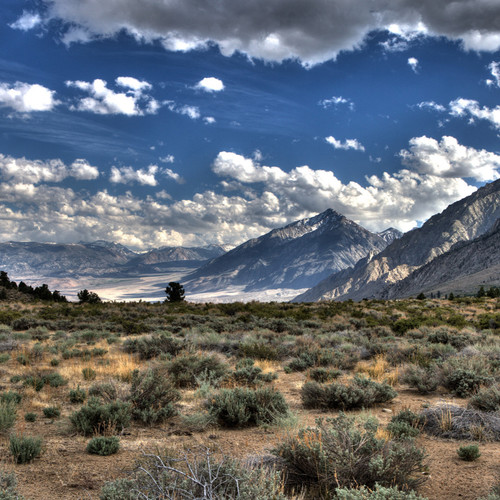 走马（柔情神秘版）