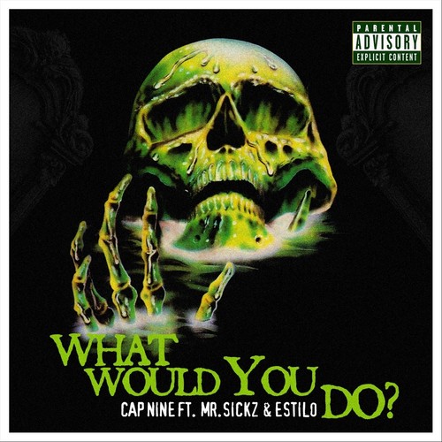 What Would You Do? (feat. Mr. Sickz & Estilo) [Explicit]