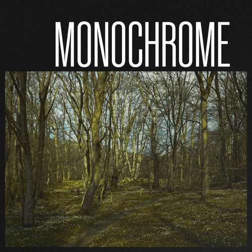 Monochrome