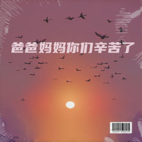 爸爸妈妈你们辛苦了-段曾