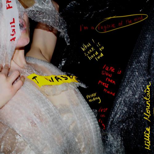 Fugitive of the Mind