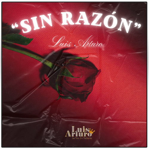 SIN RAZON
