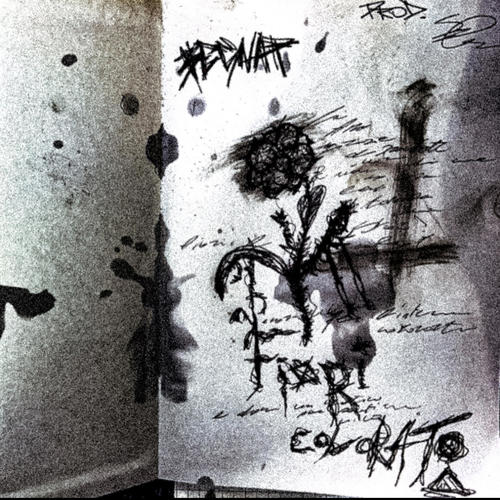 fiori colorati (feat. Narcolessia)