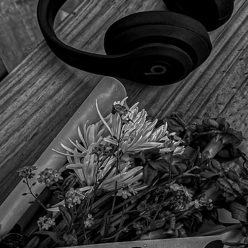 Ellas No Son Vos (Explicit)