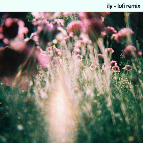 ily (lofi)