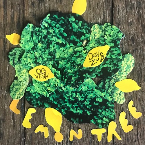 Lemon Tree (Explicit)