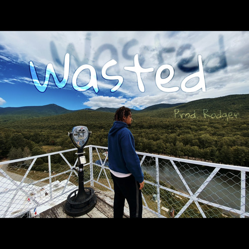 Wasted (Explicit)