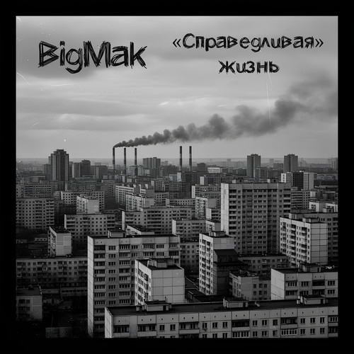 Справедливая жизнь