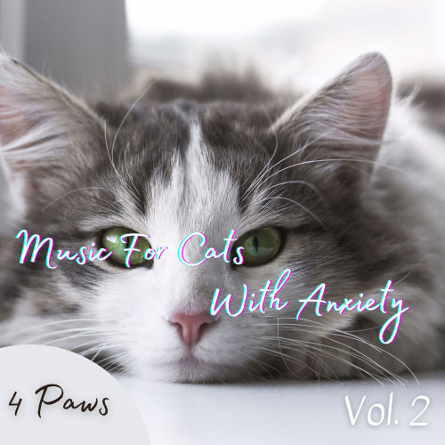 4 Paws: Music For Cats With Anxiety Vol. 2