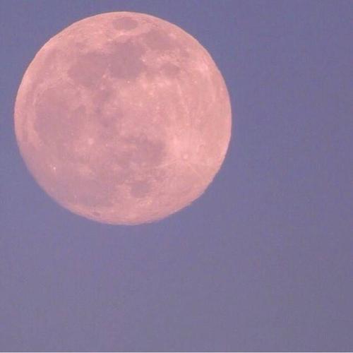 一个兔子和一个爱心的故事。