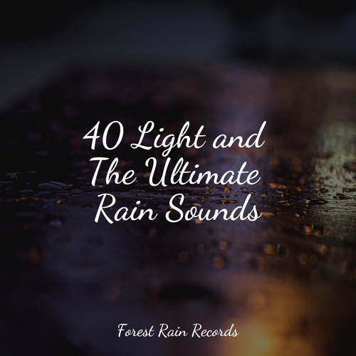40 Light and The Ultimate Rain Sounds