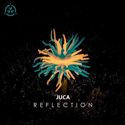 Reflection