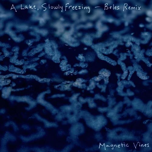 A Lake, Slowly Freezing (feat. Beles) [Beles Remix]